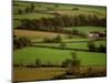 View of Farmlands from Glastonbury Tor, Glastonbury, Somerset, England-Walter Bibikow-Mounted Photographic Print