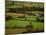 View of Farmlands from Glastonbury Tor, Glastonbury, Somerset, England-Walter Bibikow-Mounted Photographic Print