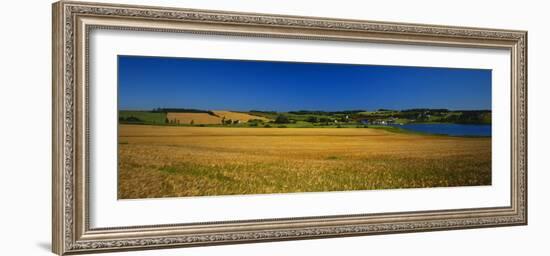 View of Field, Prince Edward Island, Canada-Walter Bibikow-Framed Photographic Print