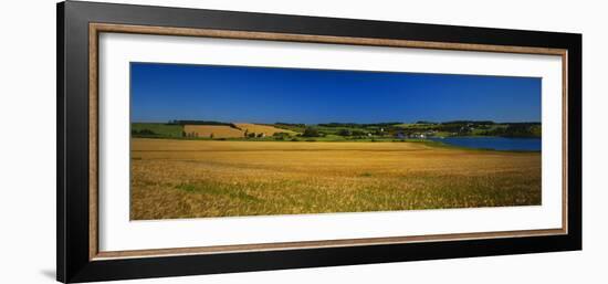 View of Field, Prince Edward Island, Canada-Walter Bibikow-Framed Photographic Print