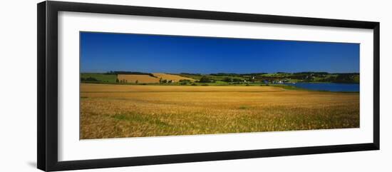 View of Field, Prince Edward Island, Canada-Walter Bibikow-Framed Photographic Print