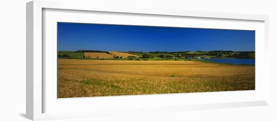 View of Field, Prince Edward Island, Canada-Walter Bibikow-Framed Photographic Print