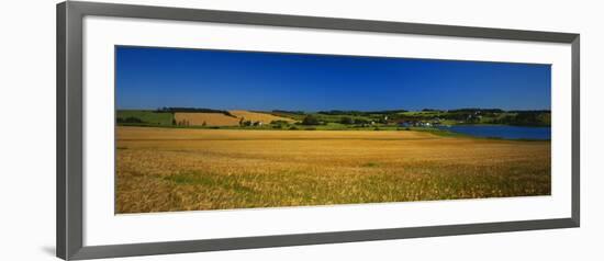 View of Field, Prince Edward Island, Canada-Walter Bibikow-Framed Photographic Print