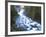 View of Firehole Falls and Firehole River, Yellowstone National Park, Wyoming, USA-Adam Jones-Framed Photographic Print