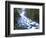 View of Firehole Falls and Firehole River, Yellowstone National Park, Wyoming, USA-Adam Jones-Framed Photographic Print