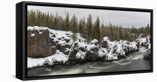 View of Firestone River, Yellowstone National Park, Wyoming, USA-Panoramic Images-Framed Premier Image Canvas