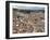 View of Florence from the Dome of Filippo Brunelleschi, Florence, UNESCO World Heritage Site, Tusca-Godong-Framed Photographic Print