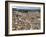 View of Florence from the Dome of Filippo Brunelleschi, Florence, UNESCO World Heritage Site, Tusca-Godong-Framed Photographic Print