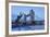 View of Fountain with Tower Bridge in the Background, Thames River, London, England-null-Framed Photographic Print