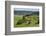 View of Furtwangen, Black Forest, Baden-Wurttemberg, Germany, Europe-Jochen Schlenker-Framed Photographic Print