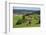 View of Furtwangen, Black Forest, Baden-Wurttemberg, Germany, Europe-Jochen Schlenker-Framed Photographic Print