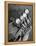 View of Golf Clubs-Bernard Hoffman-Framed Premier Image Canvas