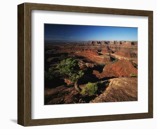 View of Gooseneck and Dead Horse Point, Dead Horse Point State Park, Utah, USA-Adam Jones-Framed Photographic Print