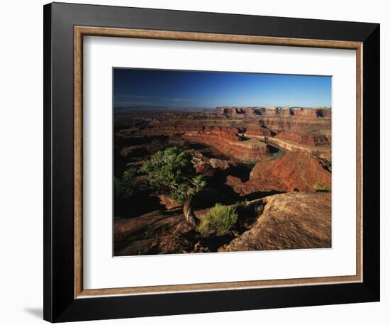 View of Gooseneck and Dead Horse Point, Dead Horse Point State Park, Utah, USA-Adam Jones-Framed Photographic Print