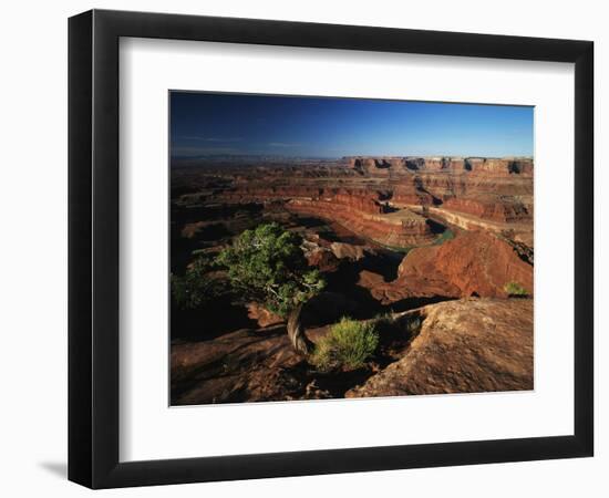 View of Gooseneck and Dead Horse Point, Dead Horse Point State Park, Utah, USA-Adam Jones-Framed Photographic Print