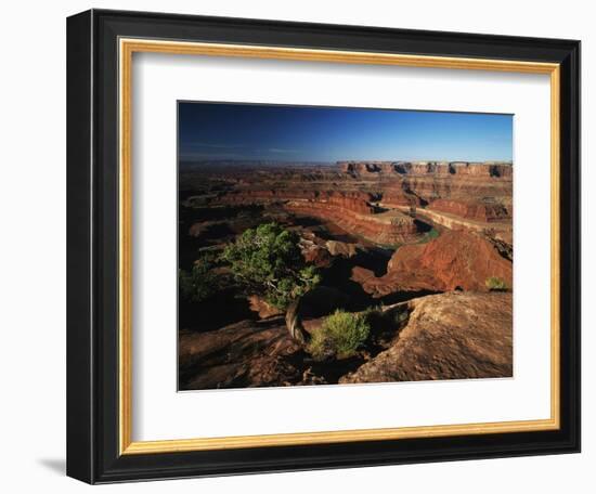 View of Gooseneck and Dead Horse Point, Dead Horse Point State Park, Utah, USA-Adam Jones-Framed Photographic Print