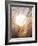 View of Gorgeous Sun Through Fresh Grain-null-Framed Photographic Print