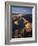 View of Grand Canyon National Park, Arizona, USA-Adam Jones-Framed Photographic Print