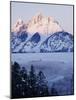View of Grand Teton National Park in Morning, Wyoming, USA-Scott T. Smith-Mounted Photographic Print