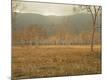 Premium Photographic Print