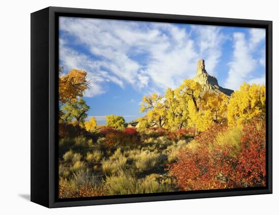 View of Gunnison Butte, Utah, USA-Scott T. Smith-Framed Premier Image Canvas