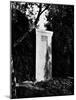 View of Gustav Mahler's Gravestone-null-Mounted Photographic Print