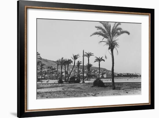 View of Haifa Through Palms-null-Framed Photographic Print