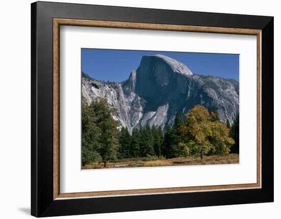 View of Half Dome from Valley Floor, California-Dean Conger-Framed Photographic Print