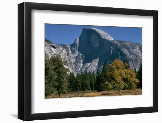 View of Half Dome from Valley Floor, California-Dean Conger-Framed Photographic Print