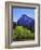 View of Half Dome Rock and Merced River, Yosemite National Park, California, Usa-Dennis Flaherty-Framed Photographic Print