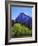 View of Half Dome Rock and Merced River, Yosemite National Park, California, Usa-Dennis Flaherty-Framed Photographic Print