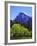 View of Half Dome Rock and Merced River, Yosemite National Park, California, Usa-Dennis Flaherty-Framed Photographic Print