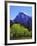 View of Half Dome Rock and Merced River, Yosemite National Park, California, Usa-Dennis Flaherty-Framed Photographic Print