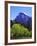 View of Half Dome Rock and Merced River, Yosemite National Park, California, Usa-Dennis Flaherty-Framed Photographic Print