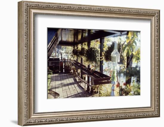 View of Hanging Plants on the Deck of a Floating Home, Sausalito, CA, 1971-Michael Rougier-Framed Photographic Print