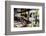 View of Hanging Plants on the Deck of a Floating Home, Sausalito, CA, 1971-Michael Rougier-Framed Photographic Print