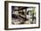 View of Hanging Plants on the Deck of a Floating Home, Sausalito, CA, 1971-Michael Rougier-Framed Photographic Print