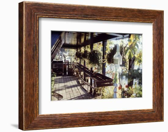 View of Hanging Plants on the Deck of a Floating Home, Sausalito, CA, 1971-Michael Rougier-Framed Photographic Print