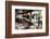 View of Hanging Plants on the Deck of a Floating Home, Sausalito, CA, 1971-Michael Rougier-Framed Photographic Print