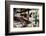 View of Hanging Plants on the Deck of a Floating Home, Sausalito, CA, 1971-Michael Rougier-Framed Photographic Print