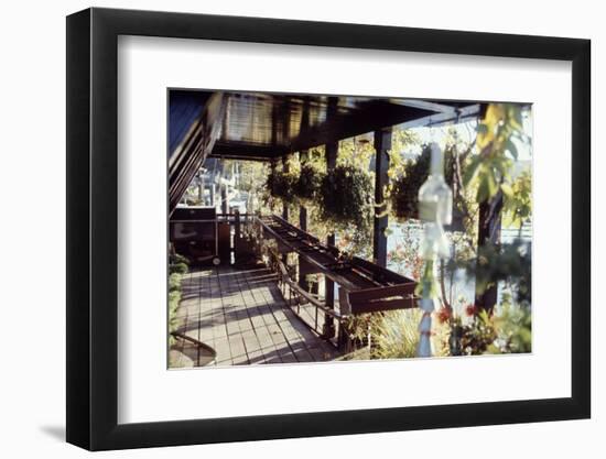 View of Hanging Plants on the Deck of a Floating Home, Sausalito, CA, 1971-Michael Rougier-Framed Photographic Print