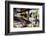 View of Hanging Plants on the Deck of a Floating Home, Sausalito, CA, 1971-Michael Rougier-Framed Photographic Print