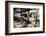 View of Hanging Plants on the Deck of a Floating Home, Sausalito, CA, 1971-Michael Rougier-Framed Photographic Print