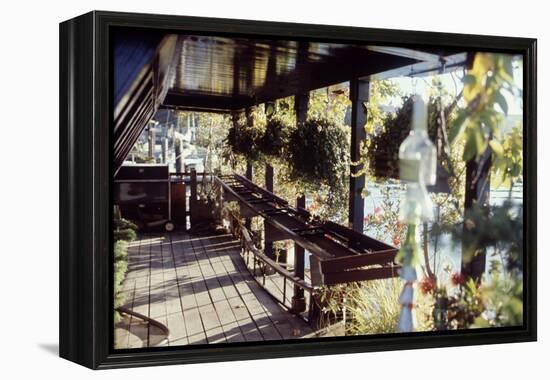 View of Hanging Plants on the Deck of a Floating Home, Sausalito, CA, 1971-Michael Rougier-Framed Premier Image Canvas