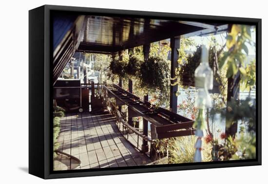 View of Hanging Plants on the Deck of a Floating Home, Sausalito, CA, 1971-Michael Rougier-Framed Premier Image Canvas