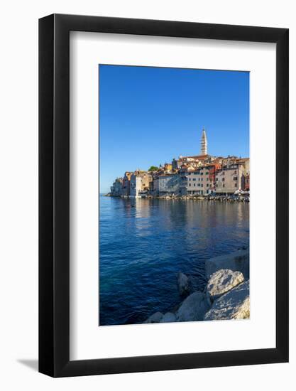 View of harbour and the old town with the Cathedral of St. Euphemia, Rovinj, Istria, Croatia-Frank Fell-Framed Photographic Print