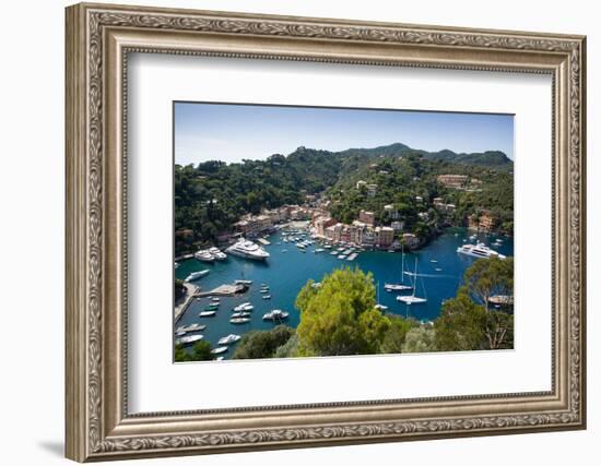 View of Harbour from Castle, Portofino, Genova (Genoa), Liguria, Italy, Europe-Frank Fell-Framed Photographic Print