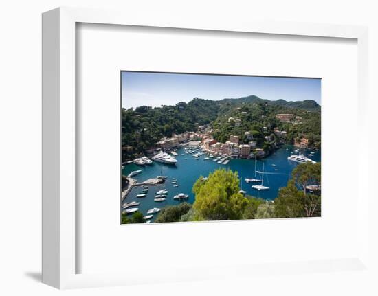 View of Harbour from Castle, Portofino, Genova (Genoa), Liguria, Italy, Europe-Frank Fell-Framed Photographic Print