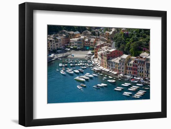 View of Harbour from Castle, Portofino, Genova (Genoa), Liguria, Italy, Europe-Frank Fell-Framed Photographic Print