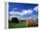 View of Hay Bales in Farm Field, Lexington, Kentucky, USA-Adam Jones-Framed Premier Image Canvas